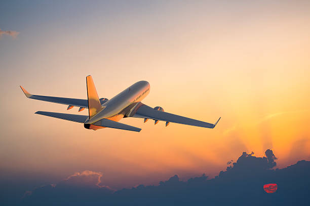 expedited China visa